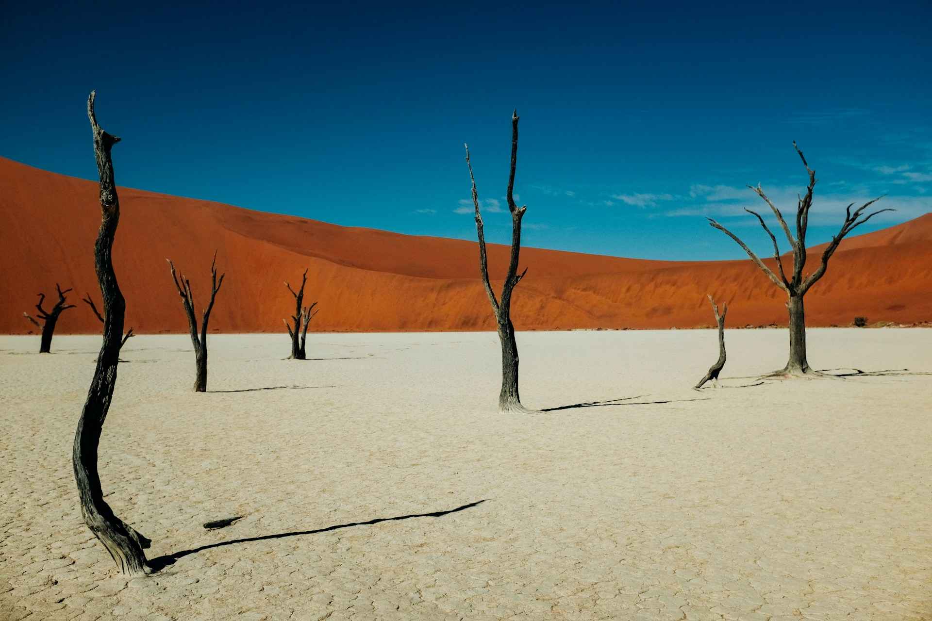 most beautiful forests Deadvlei 