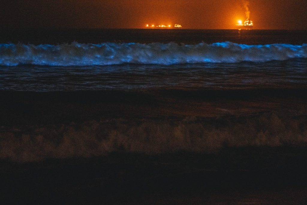 Strand in Puerto Rico mit Meeresleuchten, Biolumineszenz.