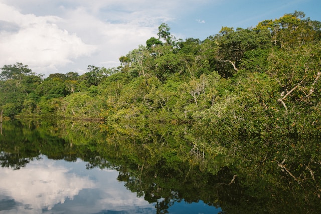 Amazon River creepiest bodies of water in the world
