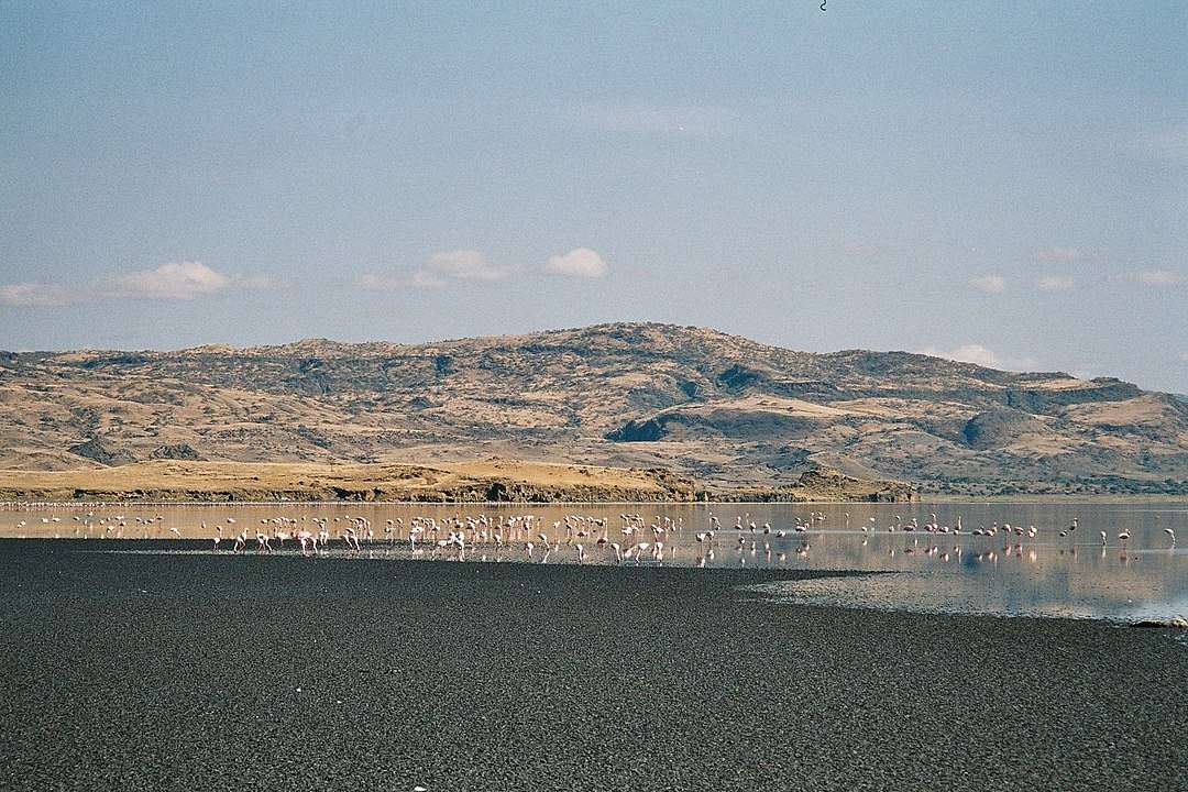 Lake Natron creepiest bodies of waters