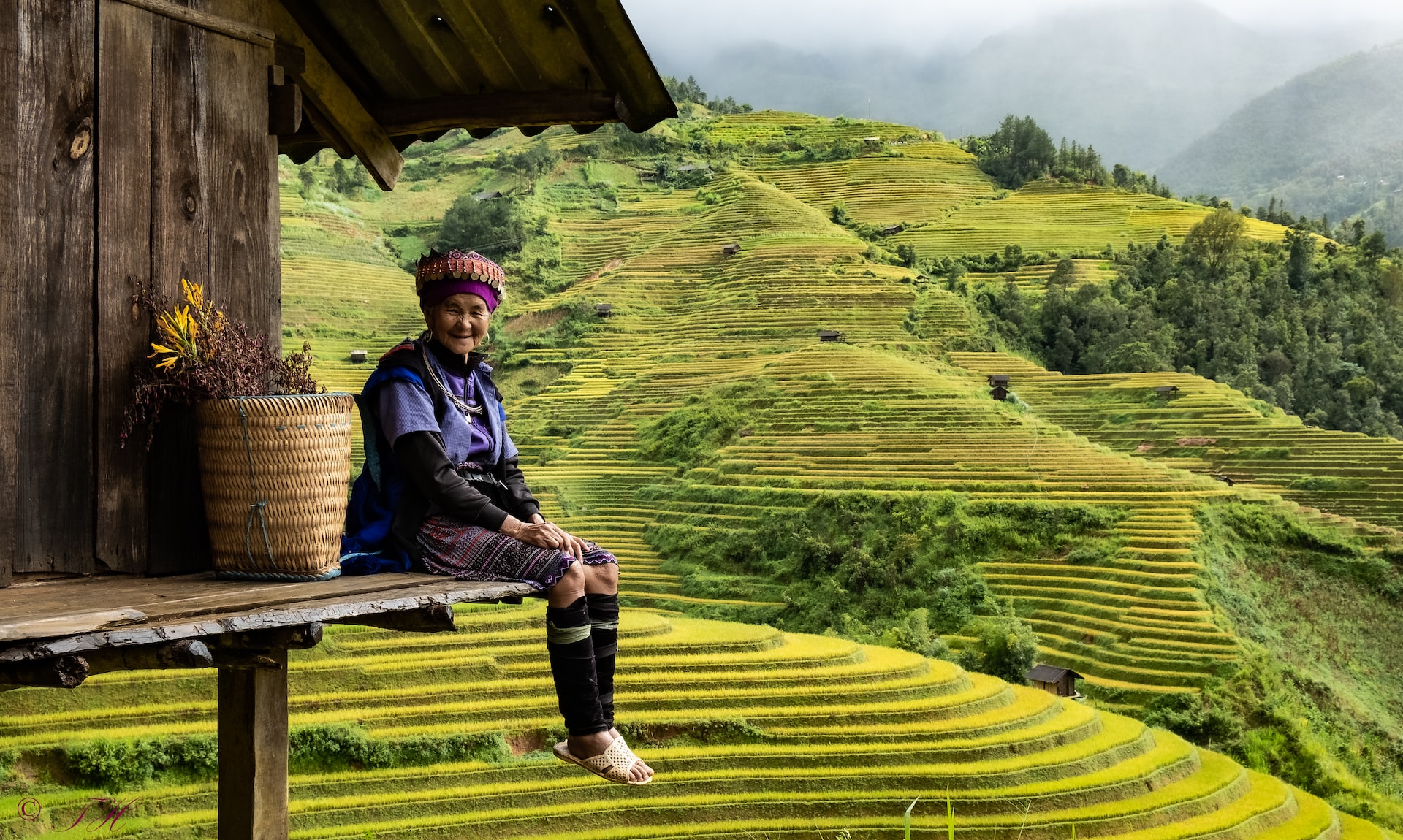 sustainable travel paddy field