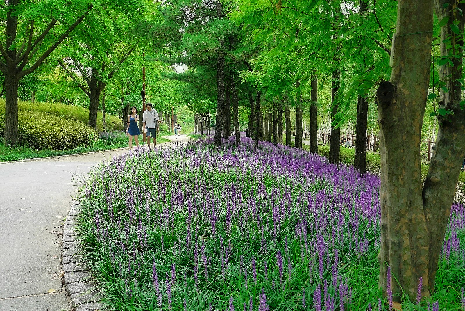 seonyudo park hidden gems in seoul