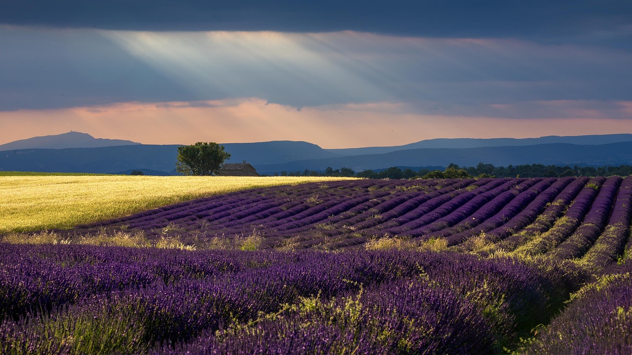 best places in South of France to visit Provence