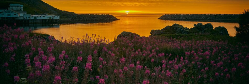 where to see the midnight sun