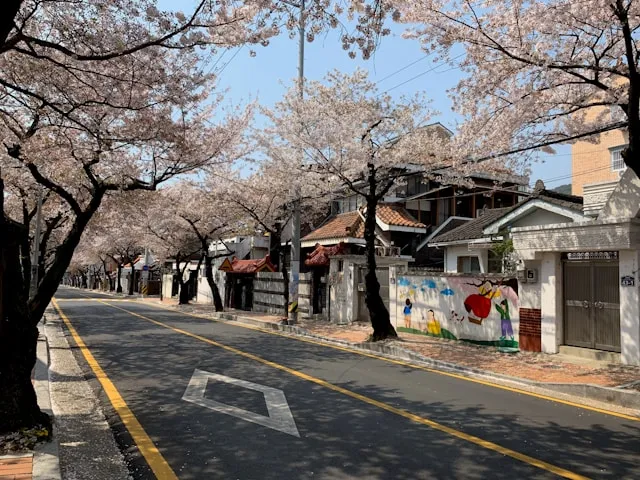 spring festivals in Japan