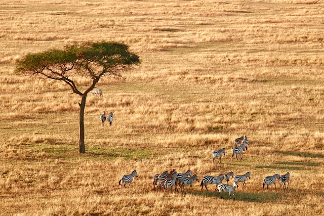  most beautiful places on earth Serengeti National Park