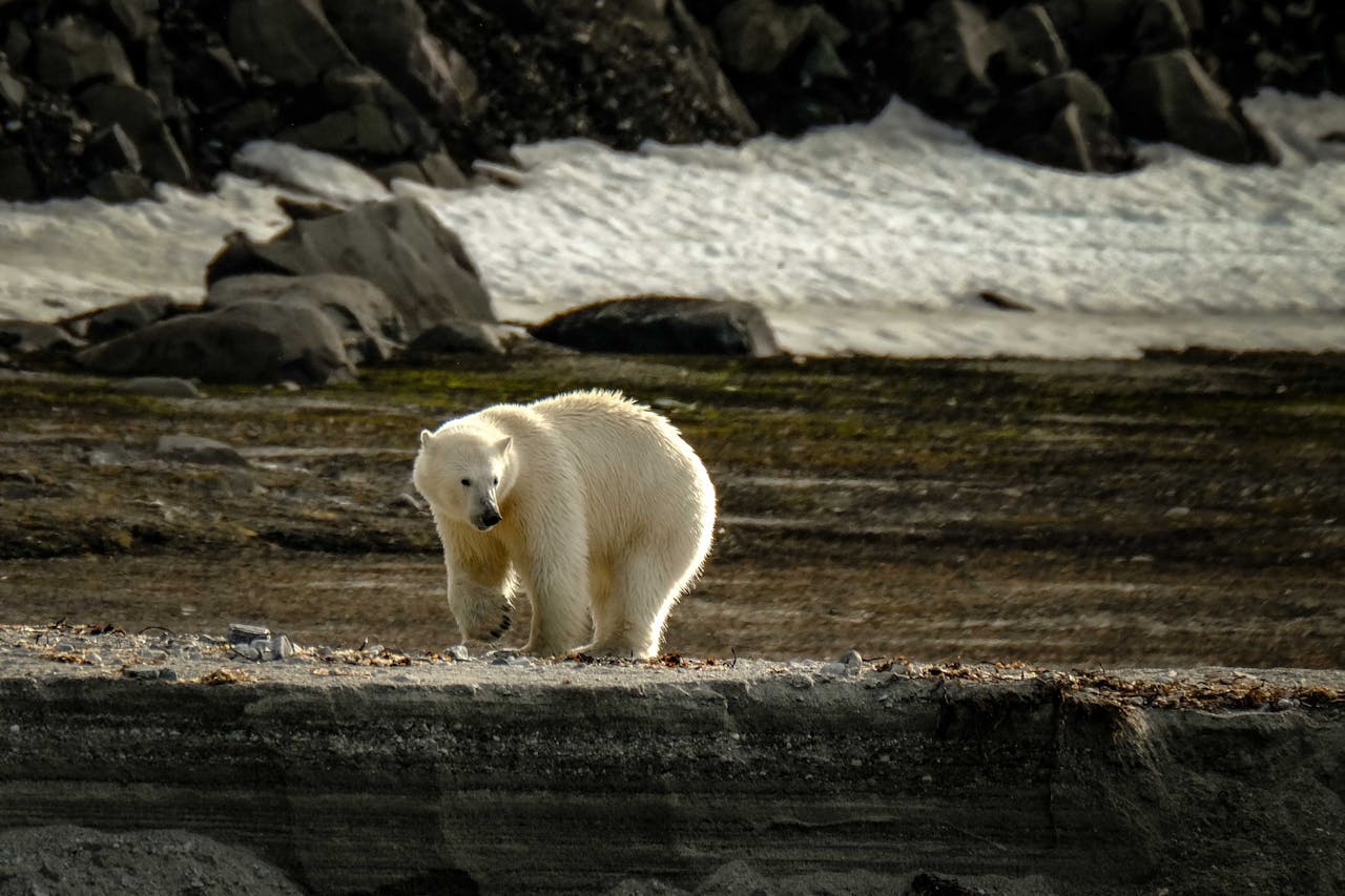 Svalbard Norway