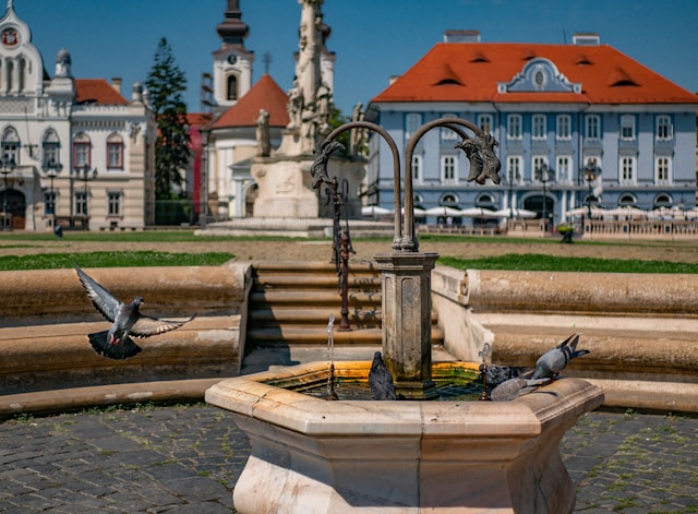 travel Europe on a budget Timisoara