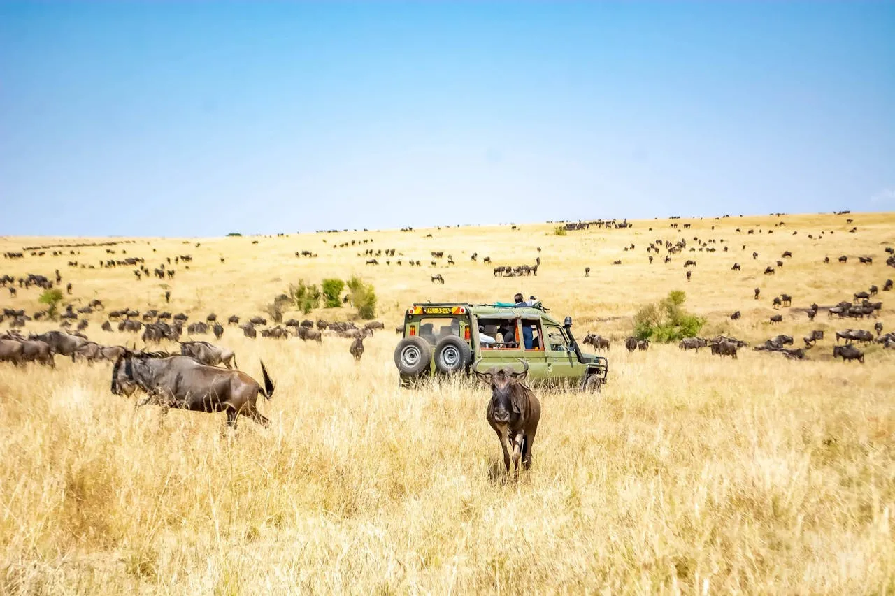 places to visit before you die Maasai Mara National Park