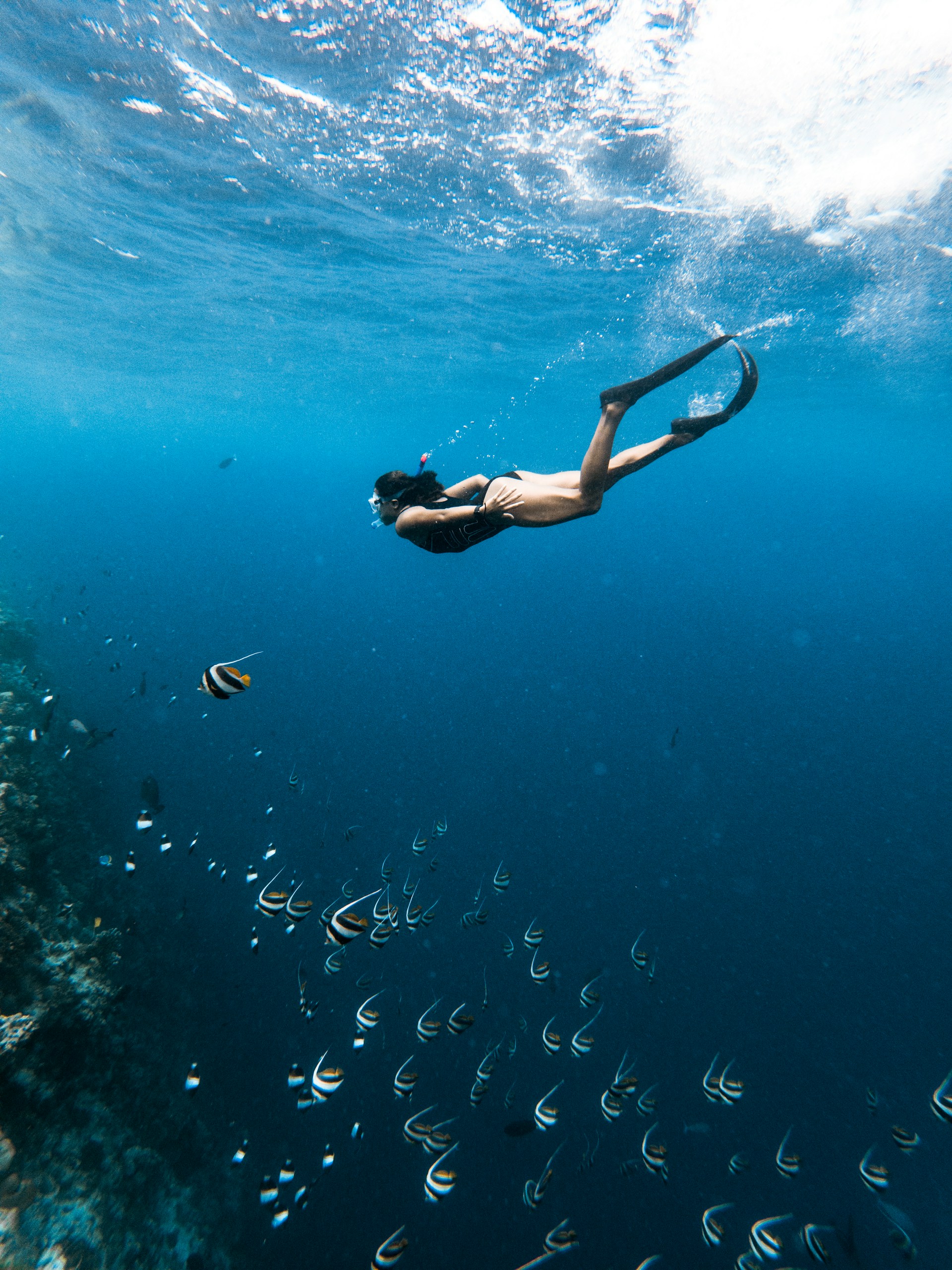 snorkeling in Maldives