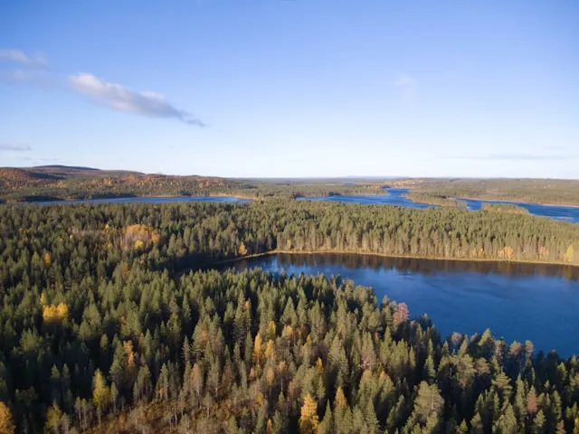 Oulanka National Park best forests in the world