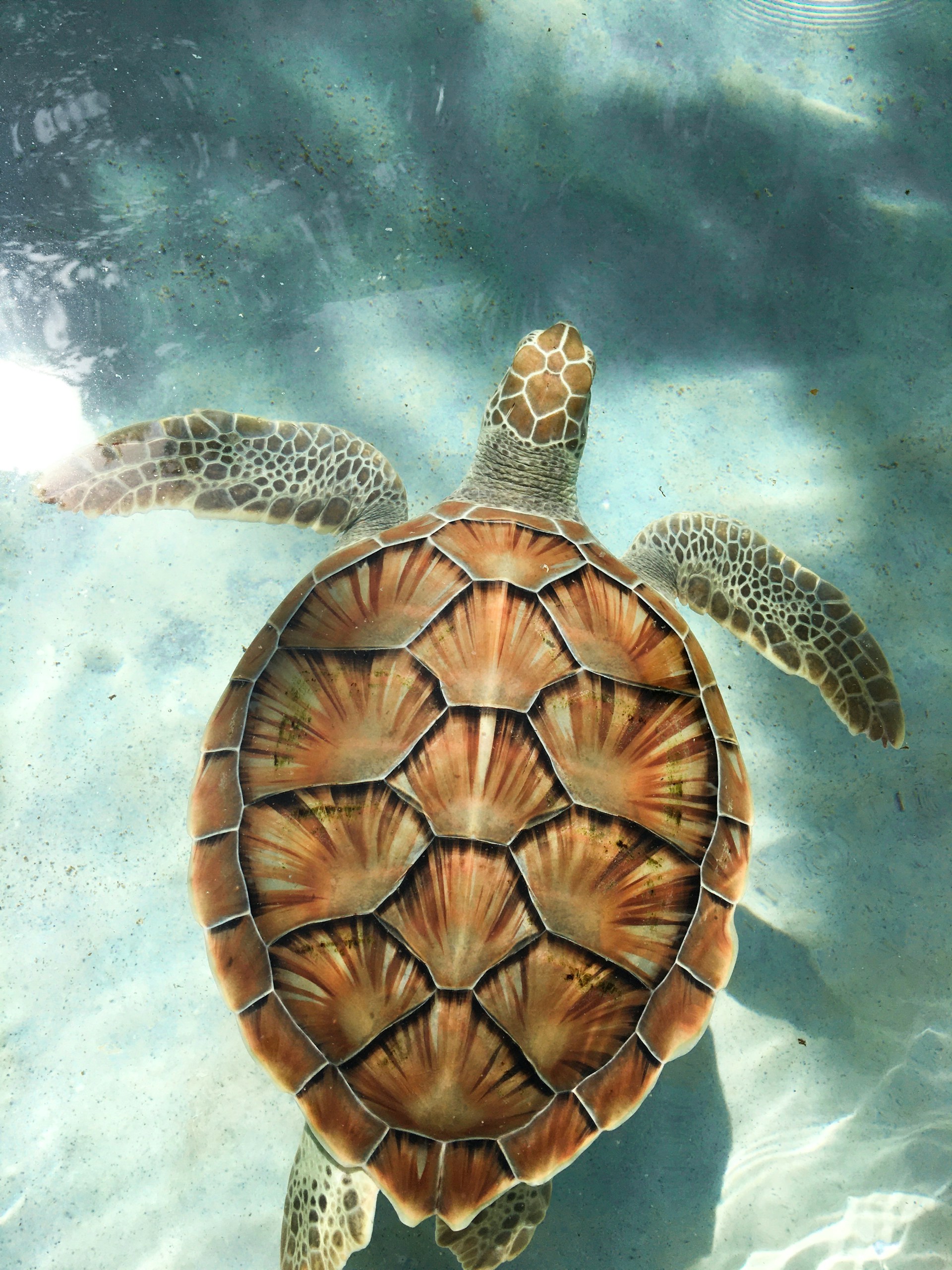 Bazaruto Archipelago best snorkeling in africa