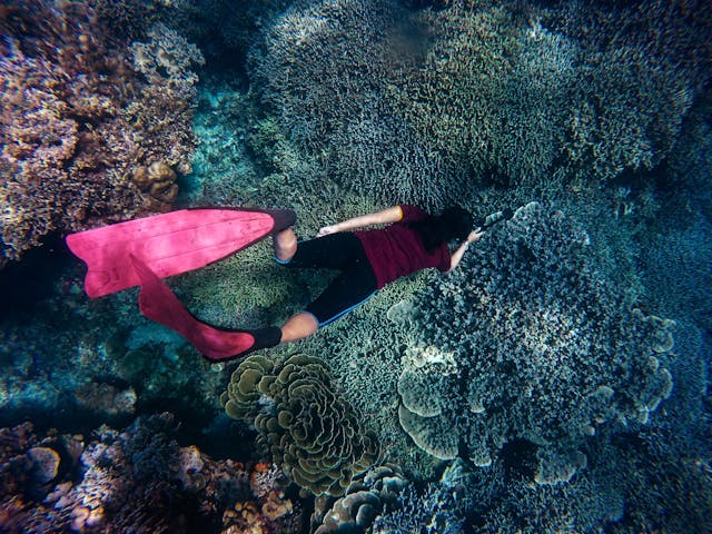 best snorkeling in Asia destinations