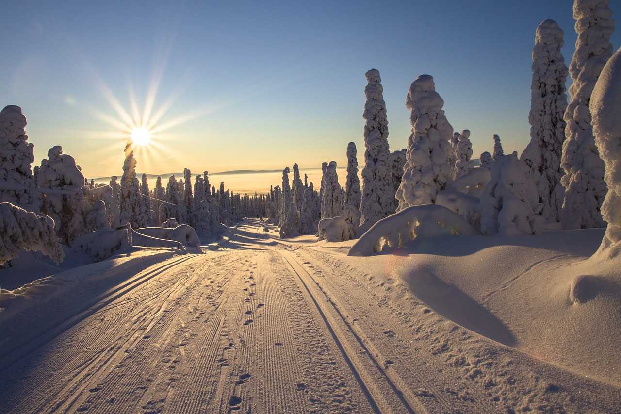 winter in Finland scenery
