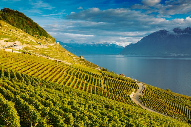 hidden gems in Switzerland Lavaux