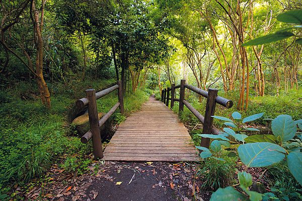 hidden gems in gran canaria Tilos de Moya