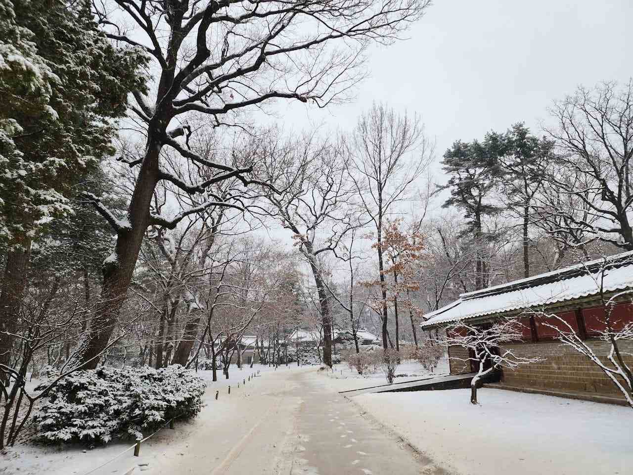 Seoul snowy scenery
