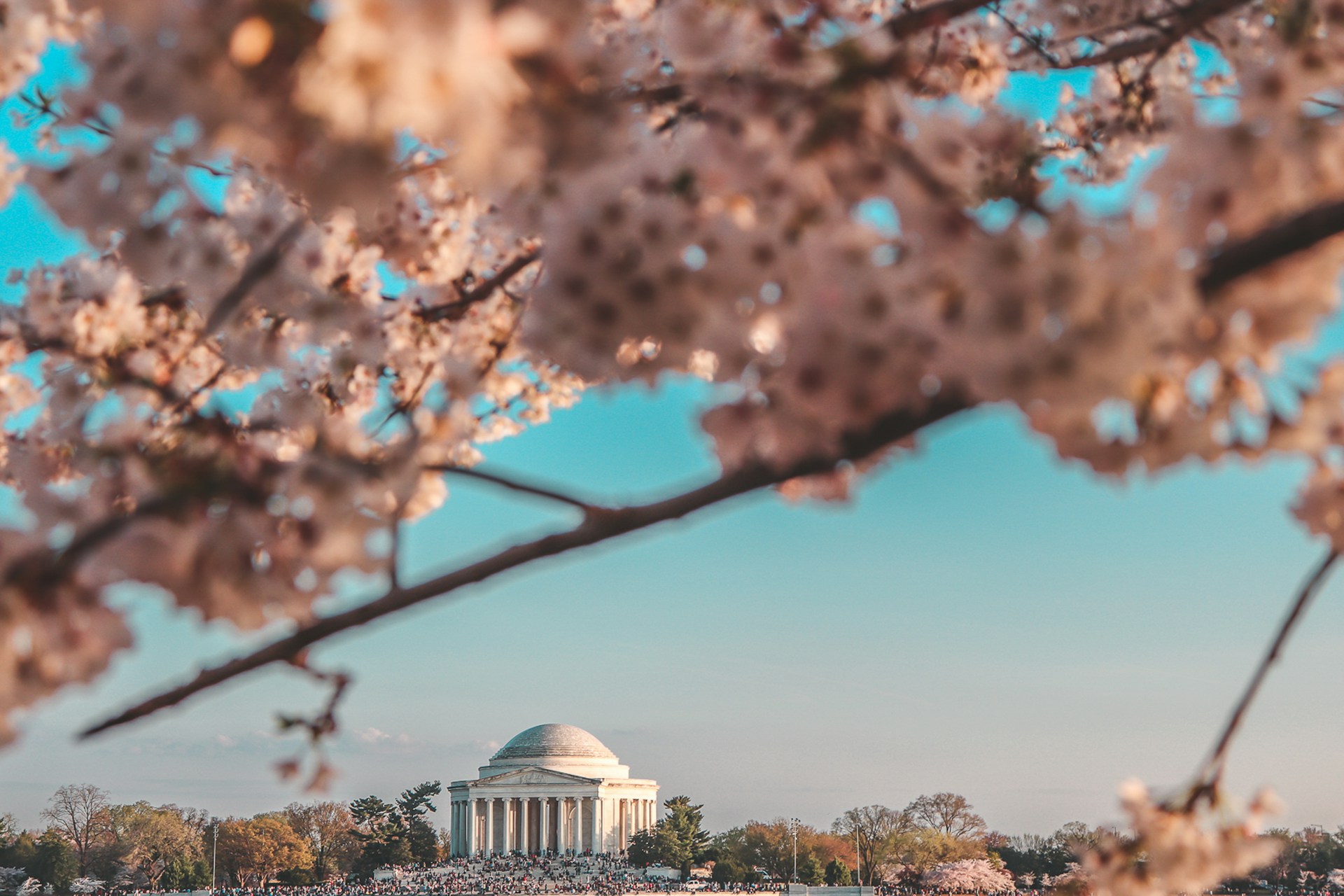 best spring vacations in the US Washington 