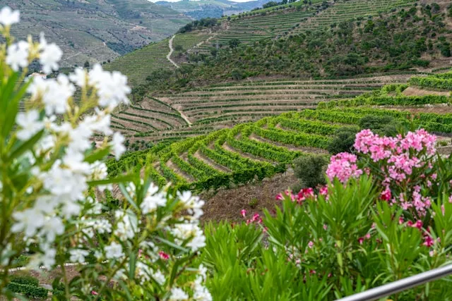 Douro Valley Portugal